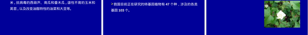 转基因植物及其安全性教学PPT课件.ppt