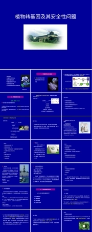 转基因植物及其安全性教学PPT课件.ppt