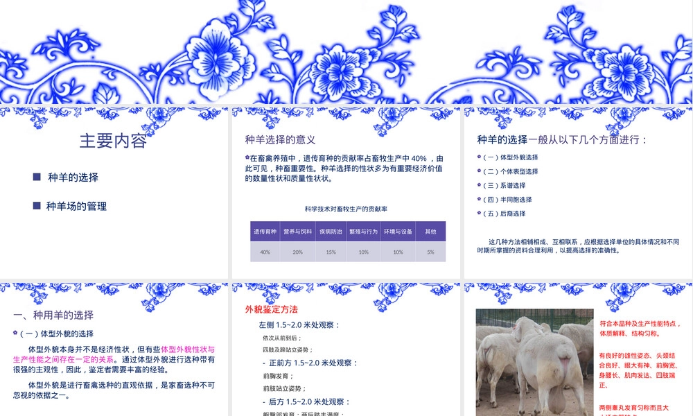 种羊选择及种羊场管理PPT课件.ppt