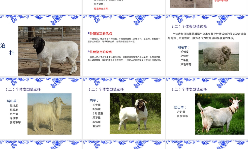 种羊选择及种羊场管理PPT课件.ppt