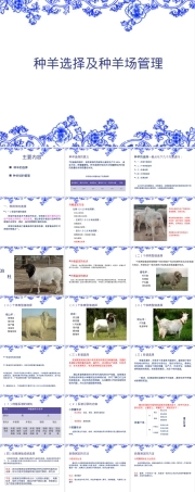种羊选择及种羊场管理PPT课件.ppt