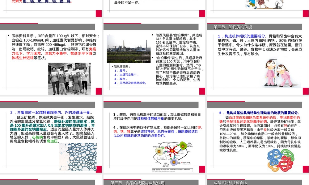饮食与健康选修课矿物质教学PPT课件.ppt