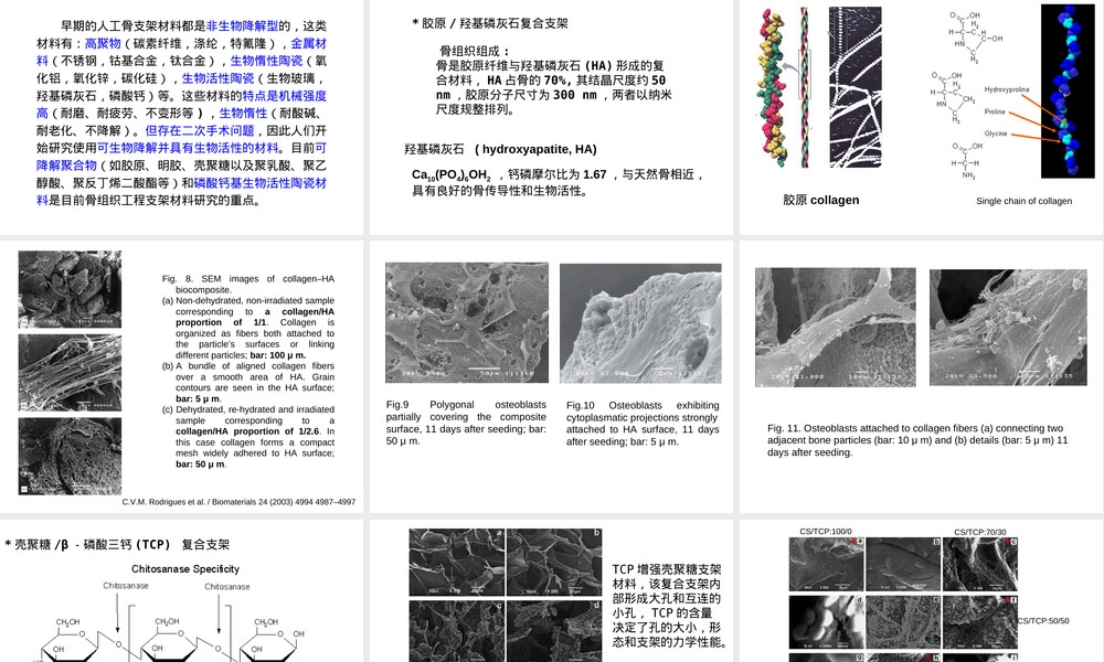 组织工程支架材料教学PPT课件.ppt