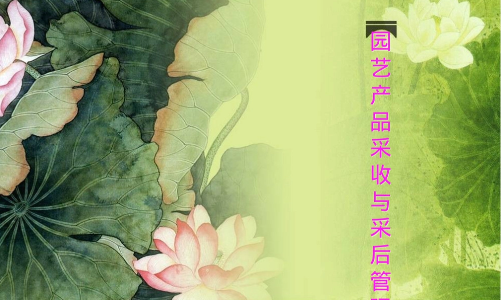 园艺产品采收与采后管理教学PPT课件.ppt