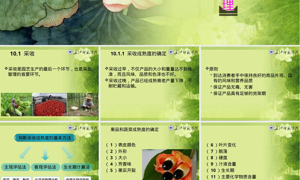 园艺产品采收与采后管理教学PPT课件.ppt