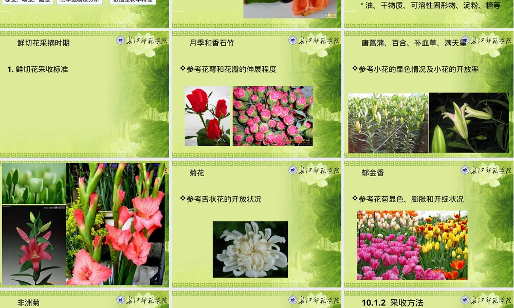 园艺产品采收与采后管理教学PPT课件.ppt