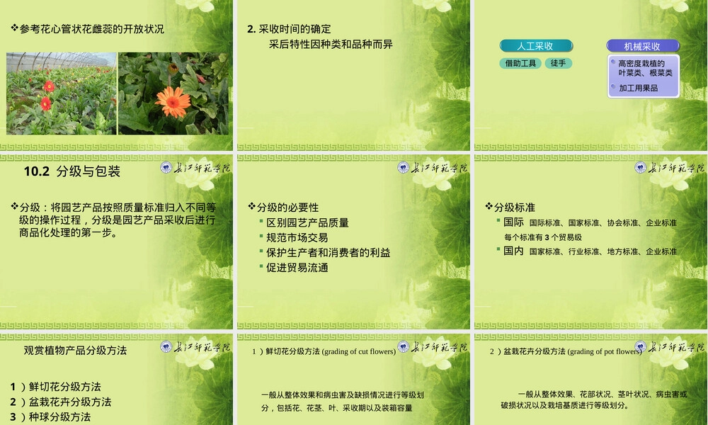 园艺产品采收与采后管理教学PPT课件.ppt