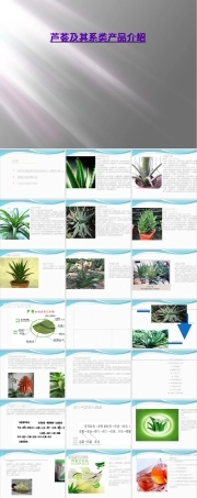 芦荟及其系列产品介绍PPT课件.ppt