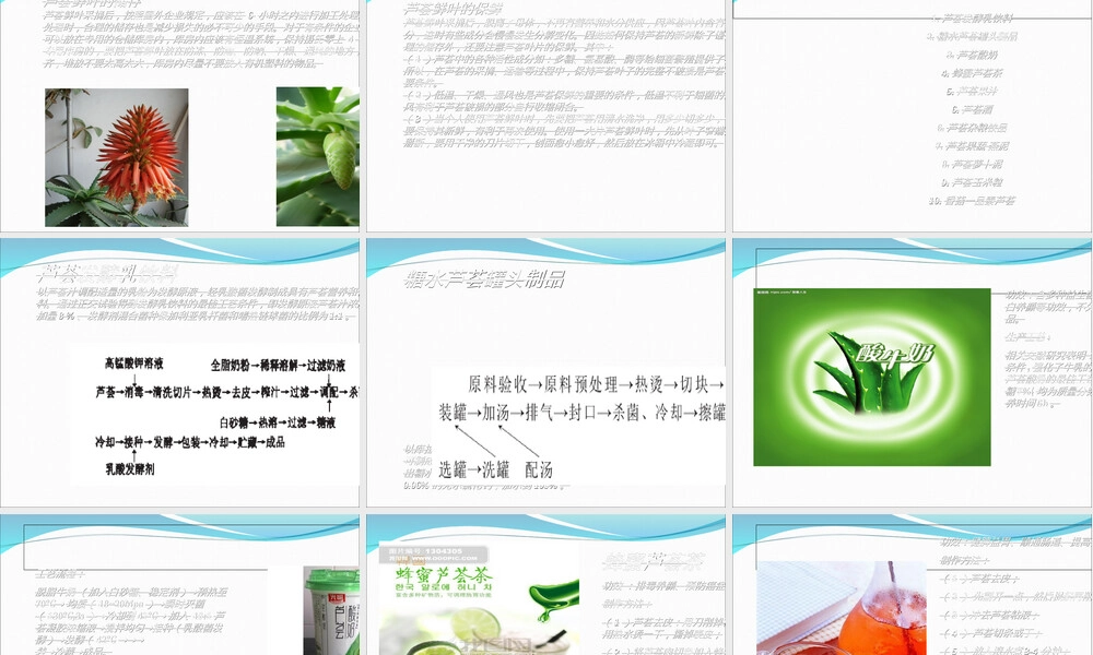 芦荟及其系列产品介绍PPT课件.ppt