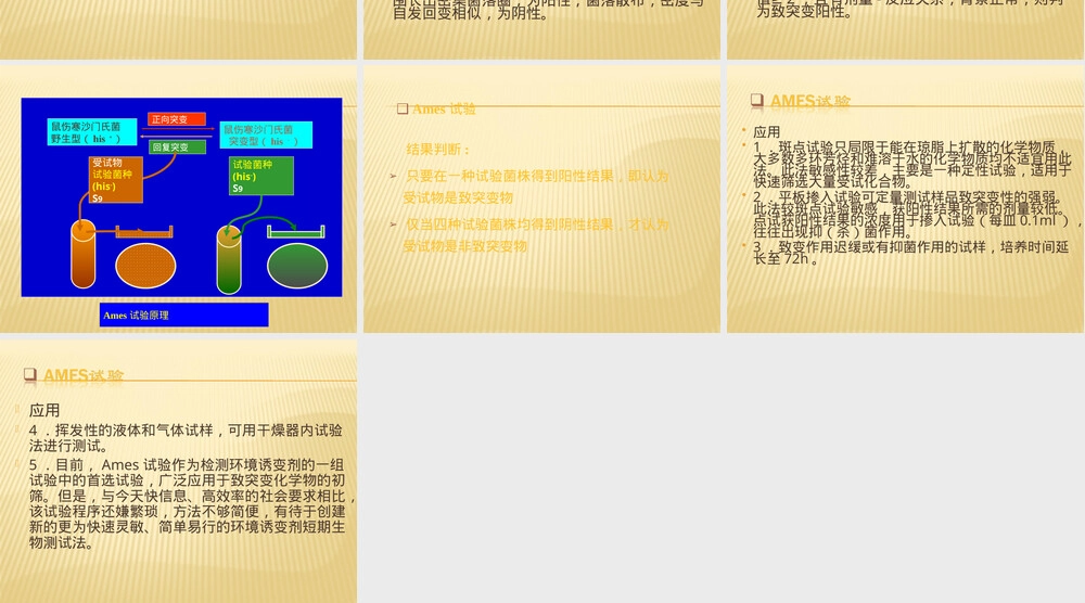 鼠伤寒沙门氏菌回复突变试验PPT课件.ppt