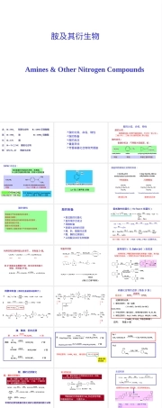 有机化学胺及其衍生物教学PPT课件.ppt