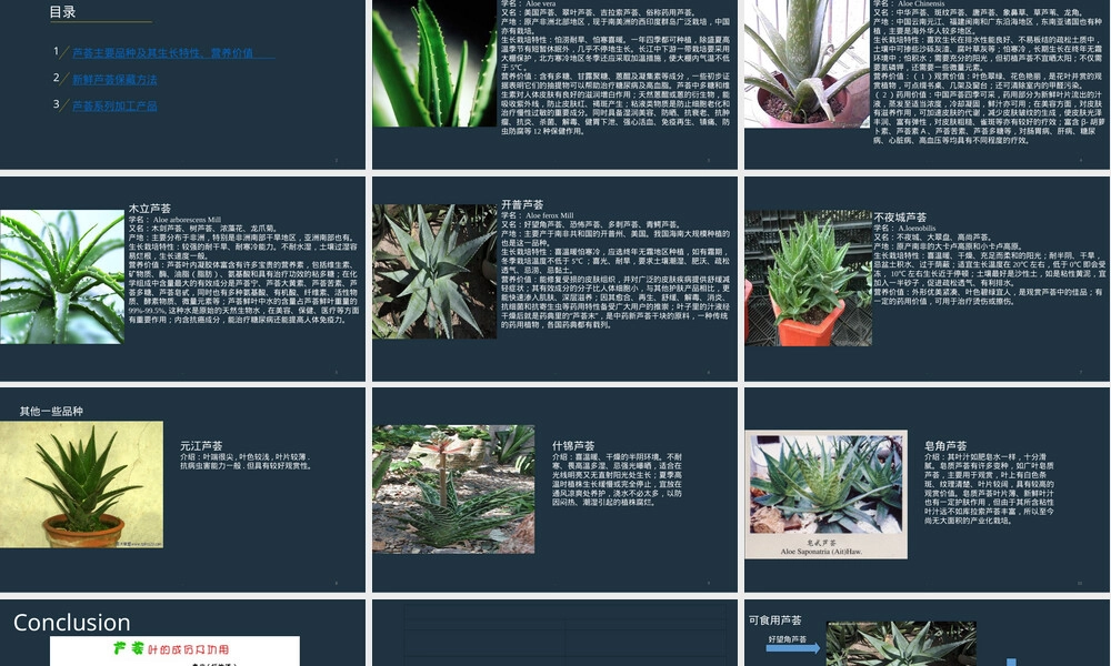 芦荟及其系列产品介绍PPT课件 副本1.ppt