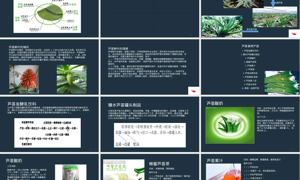 芦荟及其系列产品介绍PPT课件 副本1.ppt