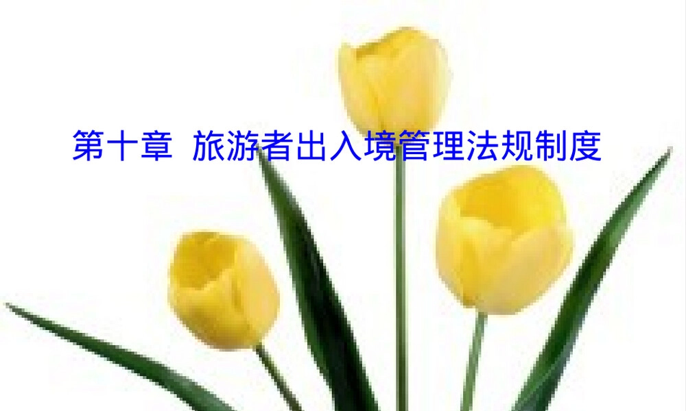 旅游者出入境管理法规制度,旅游者出入境管理法规PPT课件.ppt