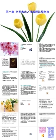 旅游者出入境管理法规制度,旅游者出入境管理法规PPT课件.ppt