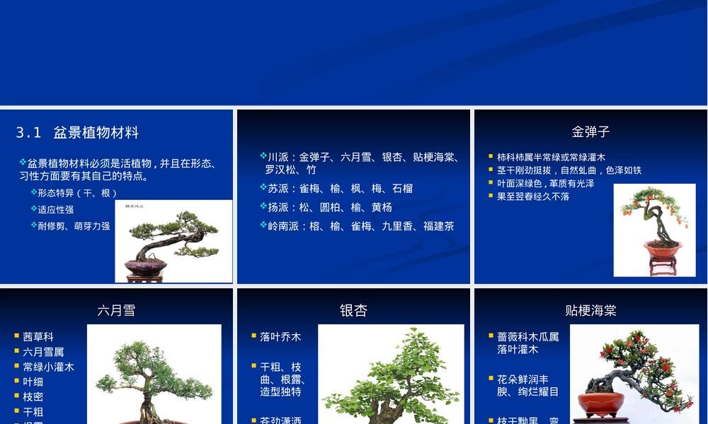 盆景的材料工具PPT课件.ppt