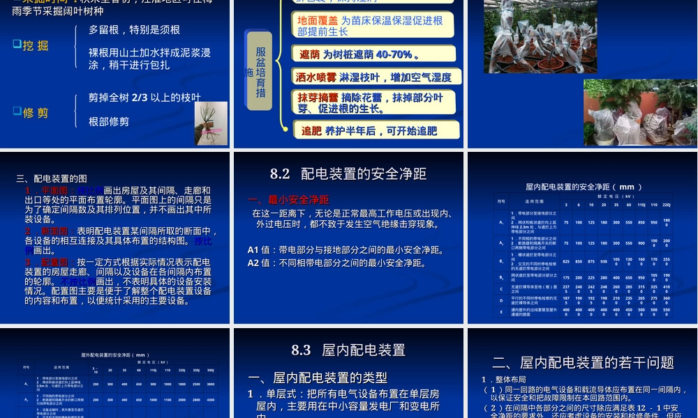 盆景的材料工具PPT课件.ppt