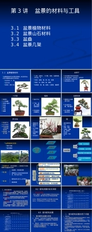 盆景的材料工具PPT课件.ppt