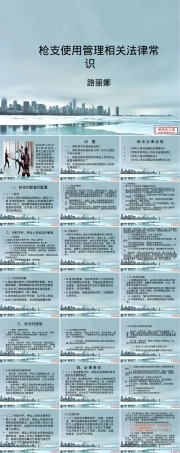枪支使用管理法律法规PPT课件.ppt