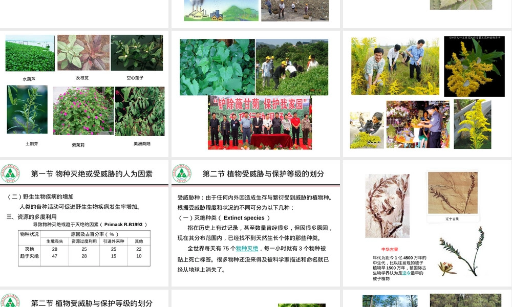 植物资源的保护与管理PPT课件.ppt