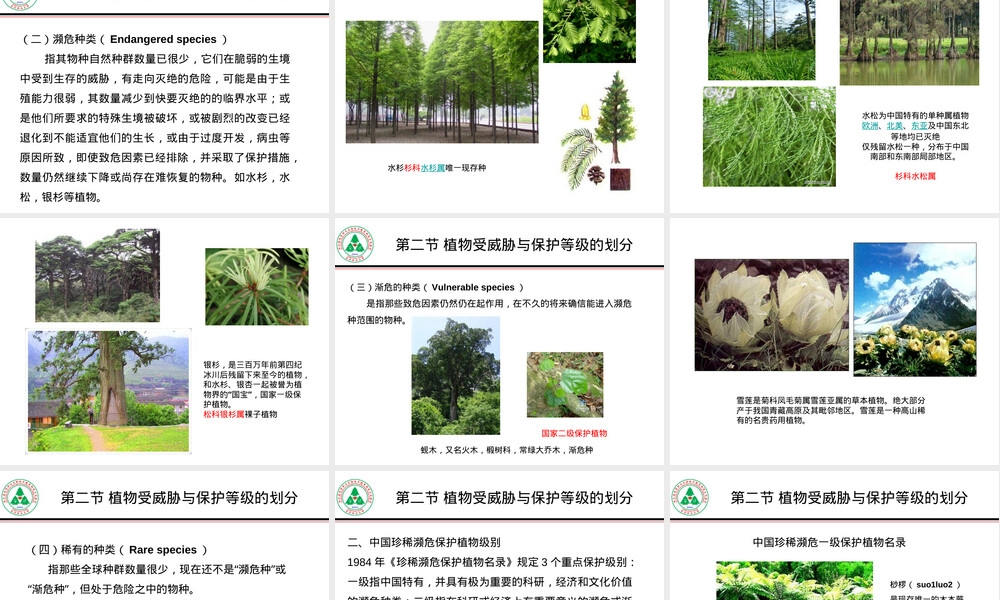 植物资源的保护与管理PPT课件.ppt