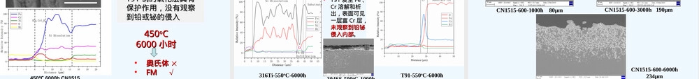 铅铋冷快堆燃料与结构材料选择PPT课件.ppt