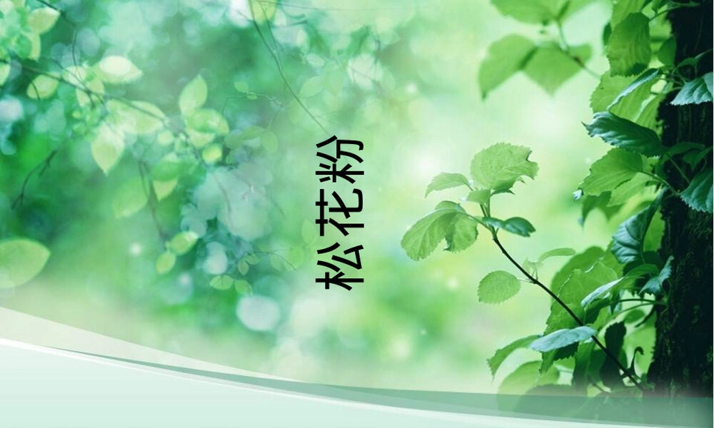 松花粉健康知识PPT课件.ppt