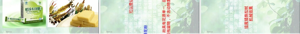 松花粉健康知识PPT课件.ppt