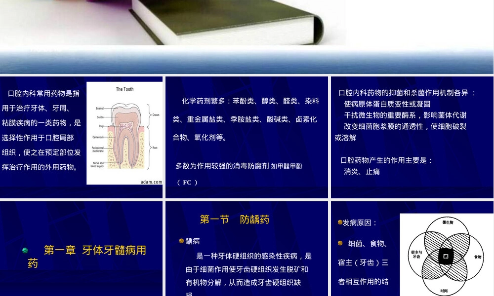 口腔药物及材料教学PPT课件.ppt