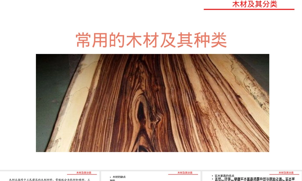 木材及其分类PPT课件.ppt