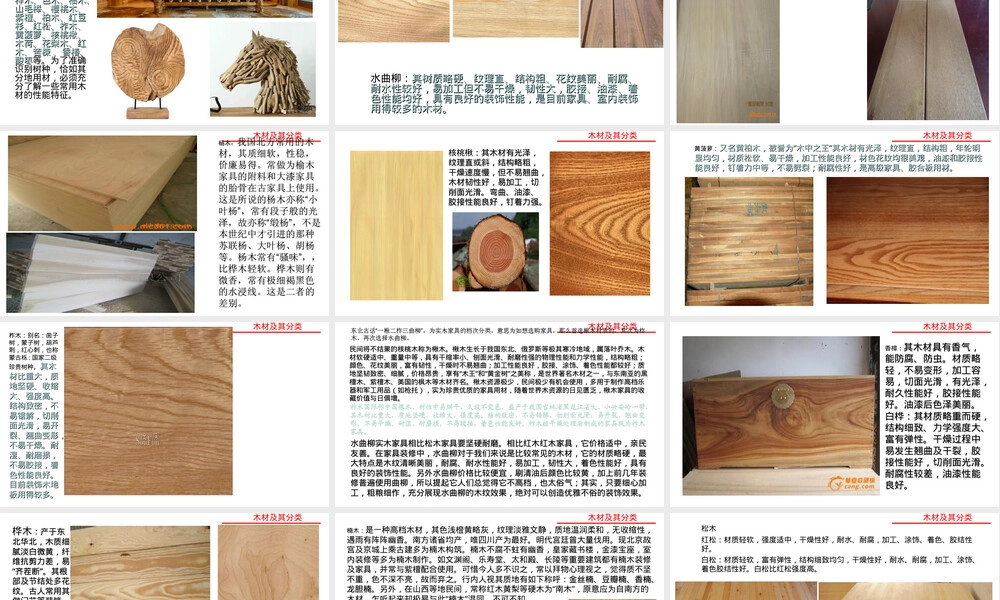 木材及其分类PPT课件.ppt