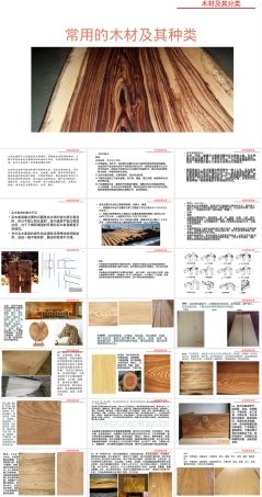 木材及其分类PPT课件.ppt