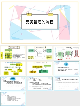 知识点0-3品类管理流程PPT课件.pptx