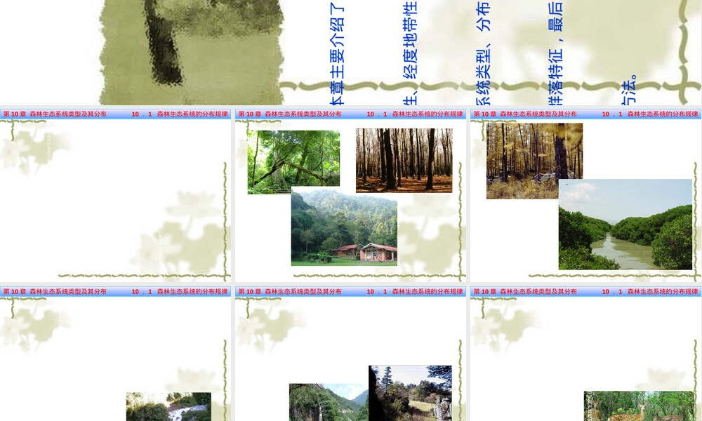 森林生态系统类型及其分布PPT课件.ppt