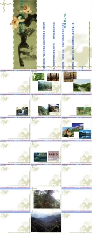 森林生态系统类型及其分布PPT课件.ppt