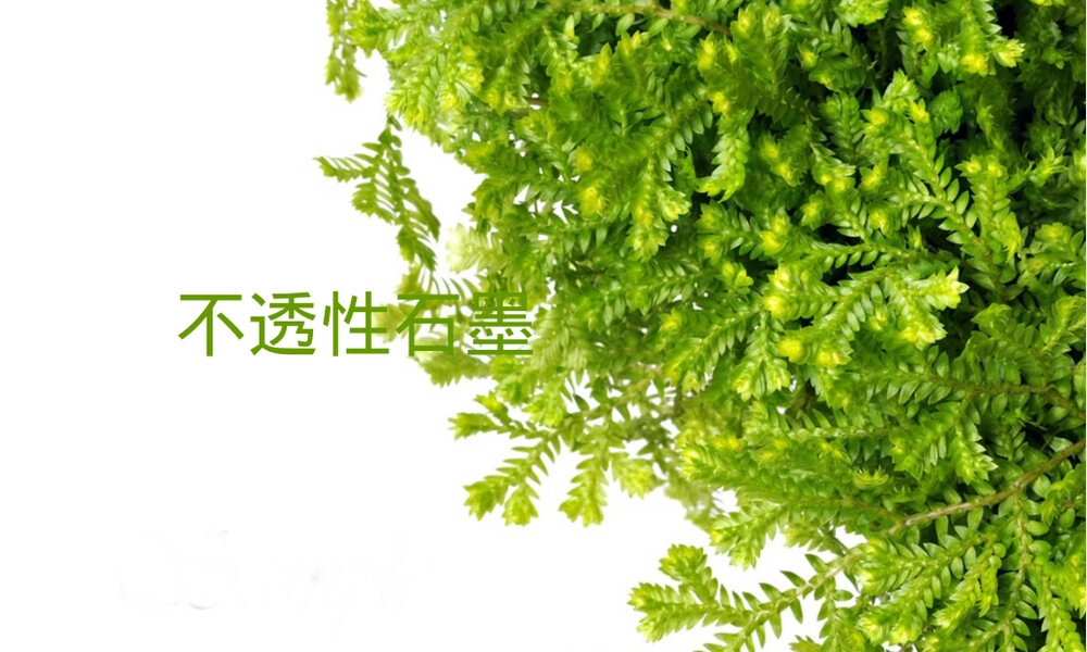 不透性石墨材料特性与应用PPT课件.ppt