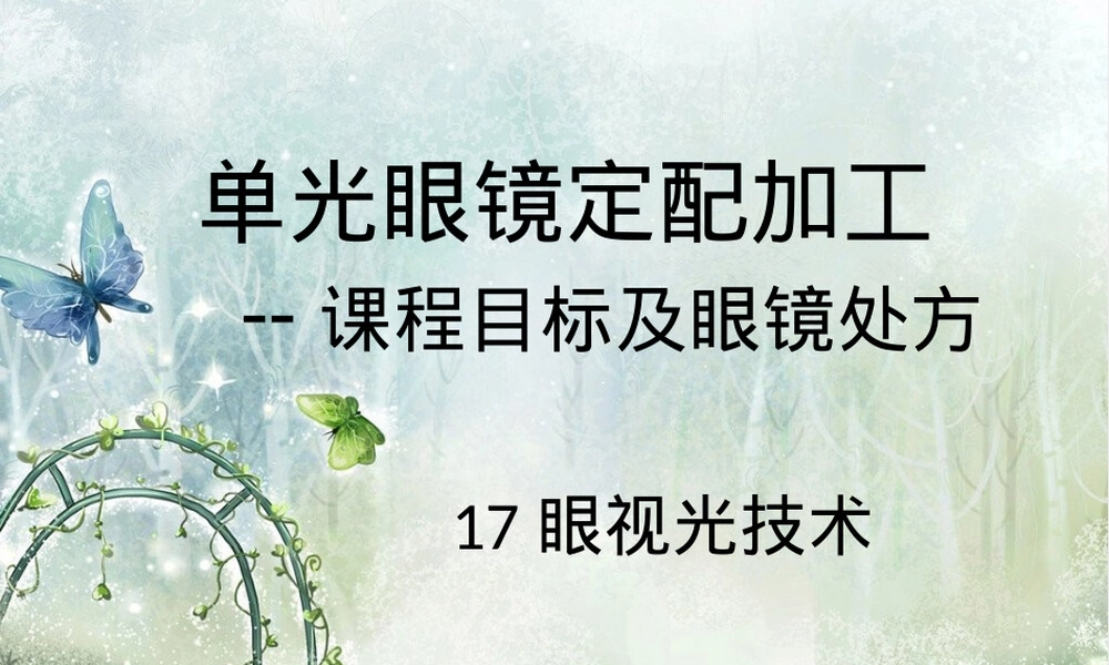 单光眼镜定配加工教学PPT课件.pptx
