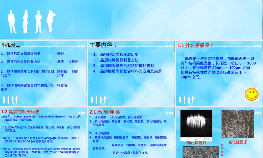 晶须增强陶瓷复合材料教学PPT课件.ppt