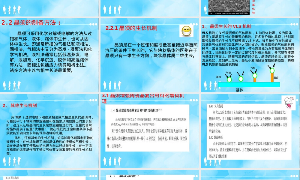 晶须增强陶瓷复合材料教学PPT课件.ppt