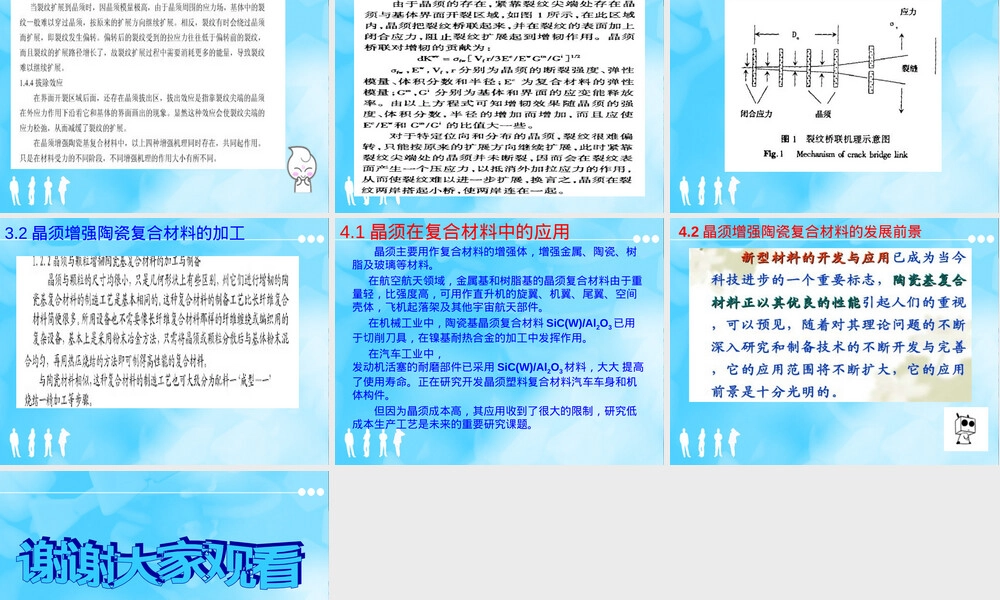 晶须增强陶瓷复合材料教学PPT课件.ppt