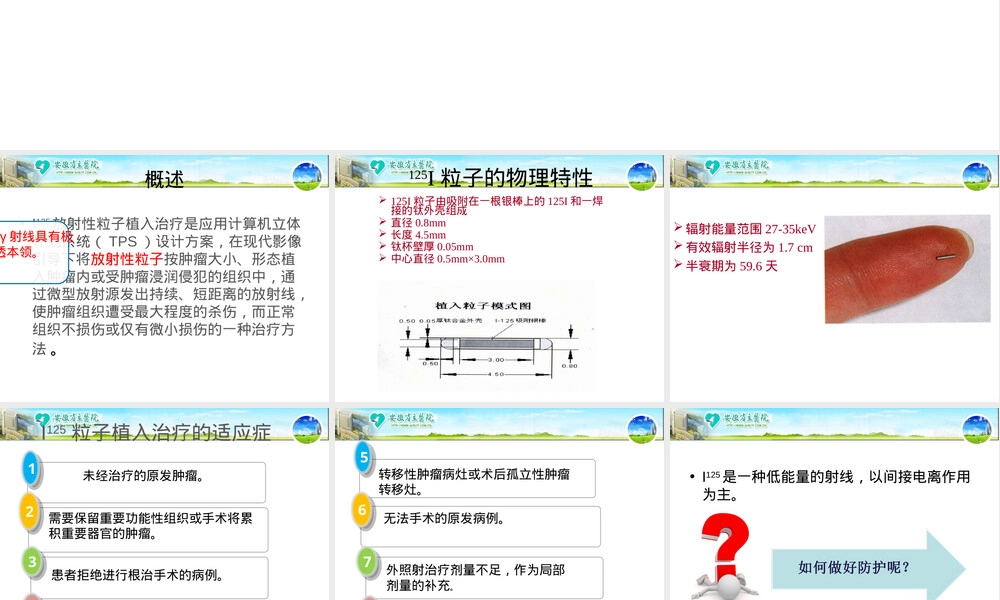 碘125粒子防护PPT课件.ppt