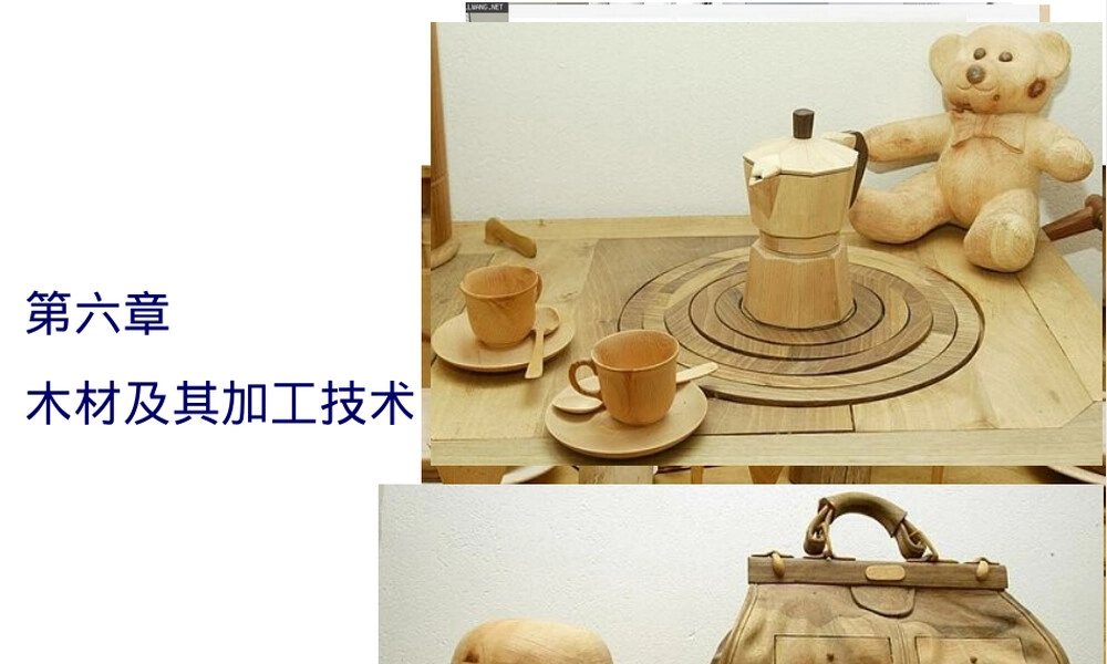 第六章木材及其加工技术教学PPT课件.ppt