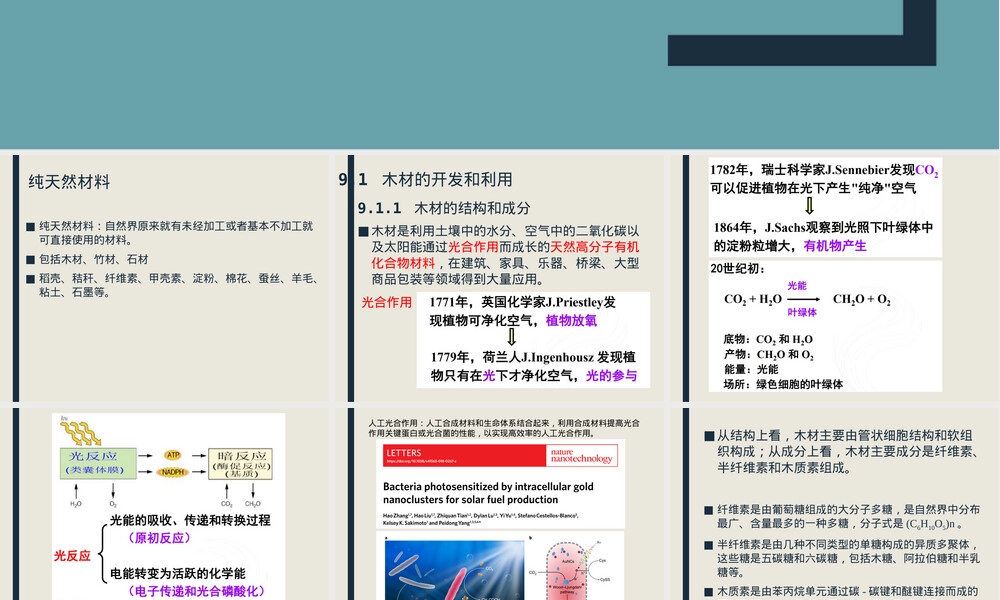 第9章纯天然材料教学PPT课件.ppt