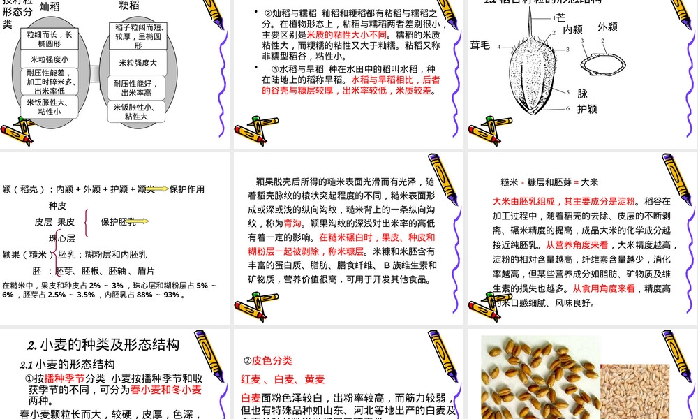 第二章粮油品质及其理化性质教学PPT课件.ppt