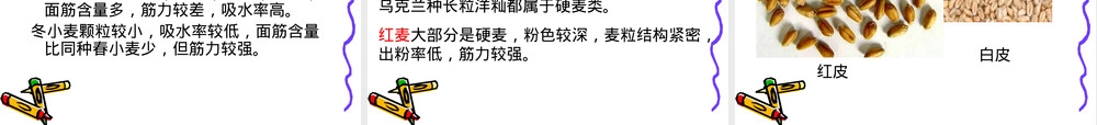 第二章粮油品质及其理化性质教学PPT课件.ppt