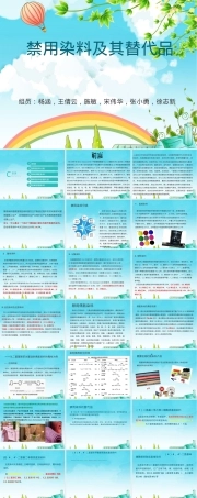 禁用染料及其替代品PPT课件.ppt