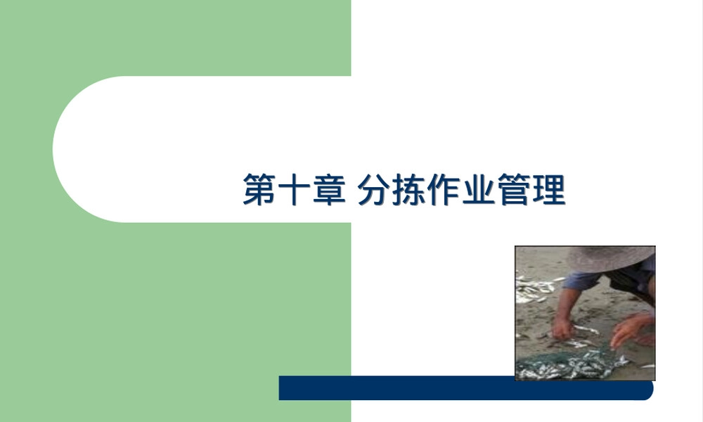 仓库分拣作业管理PPT课件.ppt