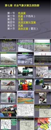 第七章农业气象灾害及其防御教学PPT课件.ppt