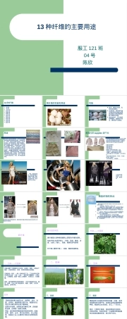 13种纤维的用途,13种常见纤维材料用途详解PPT课件.ppt