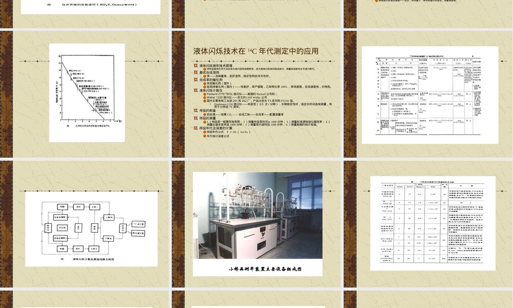 14C年代测定技术及其进展,14C年代测定技术PPT课件.ppt